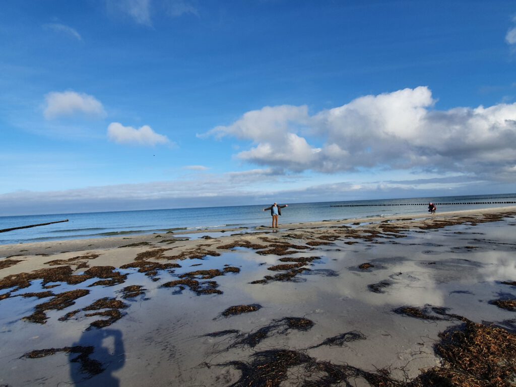 nationalpark vorpommersche boddenlandschaft natur strand Mensch vor Meer