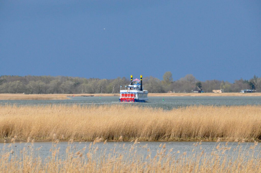 nationalpark vorpommersche boddenlandschaft schaufelraddampfer